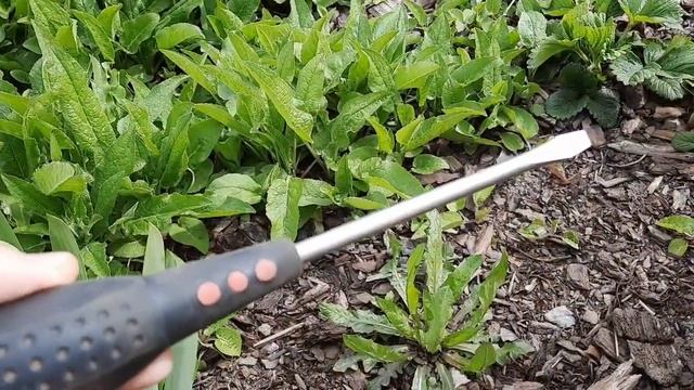 Дом, как источник вдохновения