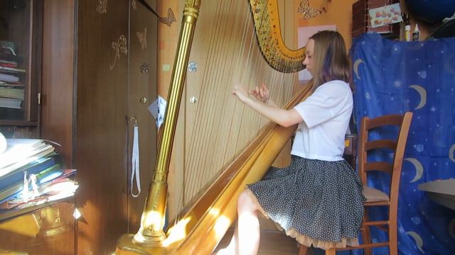 Хассельманс 