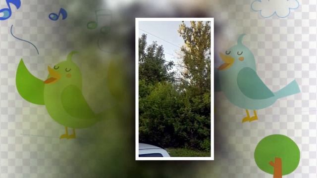 Почему соловьи поют в конце весны. смотреть онлайн