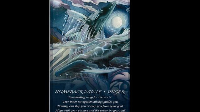 SPIRIT OF THE ANIMALS ORACLE FULL FLIP THROUGH смотреть онлайн