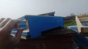 Донный пыльцесборник из отходов своими руками. Самая удачная конструкция.