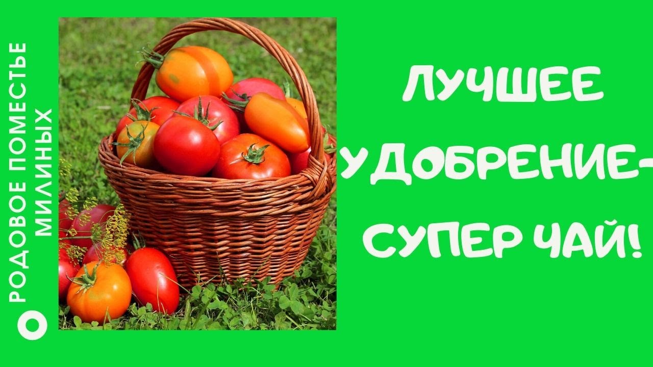 От этого удобрения все растения идут в рост!!!