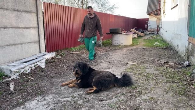 ОТСЫПАЕМ ЗАЕЗД ПЕРЕД ДОМОМ! СОБИРАЕМ БОЛЬШОЙ ШКАФ В ПРИХОЖУЮ! РЕМОНТ! ЖИЗНЬ ПРОСТЫХ ЛЮДЕЙ В ДЕРЕВНЕ смотреть онлайн
