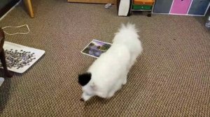 Купальник для ХГ "с нуля". Заключение:) RG leotard from scratch. Final part.