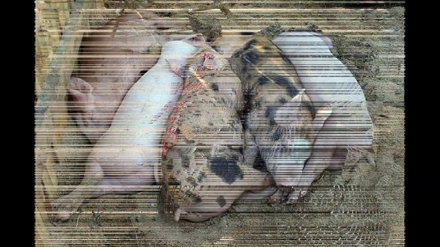 День работников сельского хозяйства и перерабатывающей промышленности смотреть онлайн