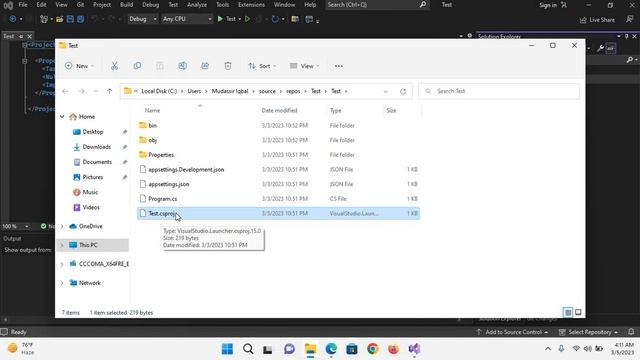 Asp.net core Project Files and Program cs File | Asp.net Core tutorial in visual studio 2022 смотреть онлайн