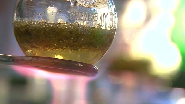 Ролик по проекту Живи Ярко! смотреть онлайн