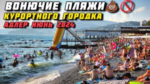 Пляжи вонючки в Адлере. 2024.