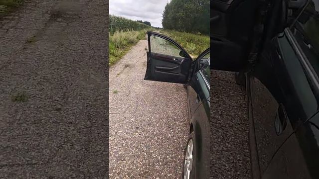 Аудиосистема а6с5 за 33000 , своими руками.solo mini,rb165pro,kicx jt12r,swat1.500,ivolga1004 смотреть онлайн