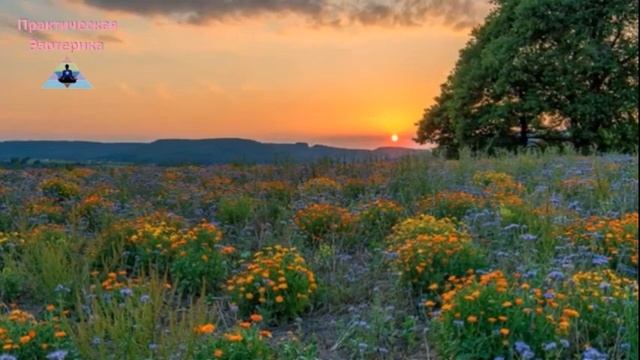 Как научиться принимать решения ✵ Что делать? Страх и неспособность принимать решения смотреть онлайн