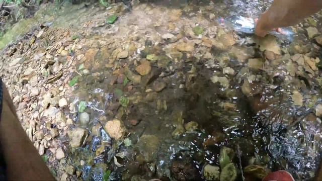 GoPro hero 10 тест | Велопрогулки смотреть онлайн