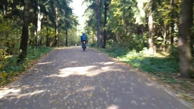 Одинцово. Лыжероллерная трасса смотреть онлайн