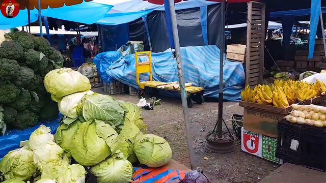 MARTHA ♥ PANGOL, TRADITIONAL MARKET LIMPIA (Feria Libre Cuenca) OLD SCHOOL SPIRITUAL CLEANSING, ASM