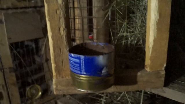 ЛПХ Неудержимые - Кормушки и чем кормим... смотреть онлайн