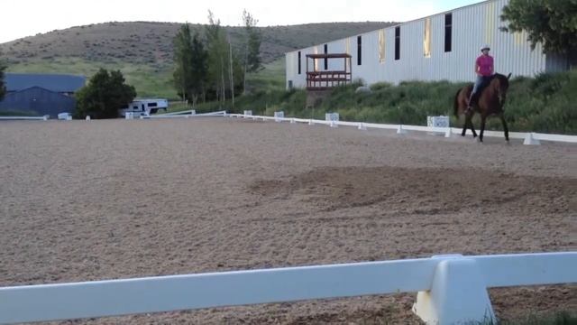 Jenna Reid riding Pippa смотреть онлайн