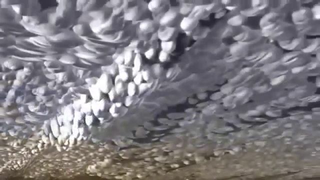 Как работают присадки Супротек Suprotec Технология Супротек