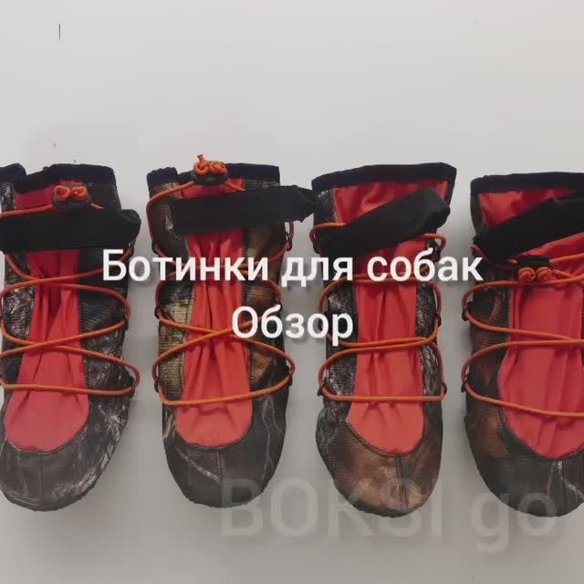 Обзор, ботинки для крупных собак смотреть онлайн