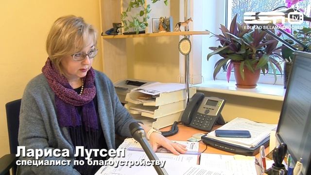 21.10.2020 В Силламяэ начались работы по сезонной уборке опавшей листвы смотреть онлайн