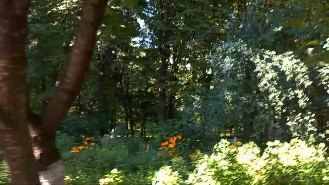 Курортный парк 🏞 Ессентуки смотреть онлайн