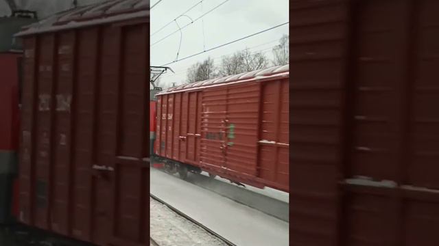 Просыпающийся грузовой проезжает утреннюю платформу #ржд #ожд #электровоз #дончак #2ЭС4К #груз смотреть онлайн