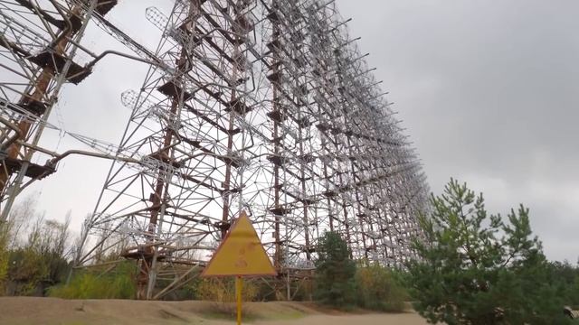 100 Самых Редких Животных в Мире, о Существовании Которых Вы не Знали смотреть онлайн