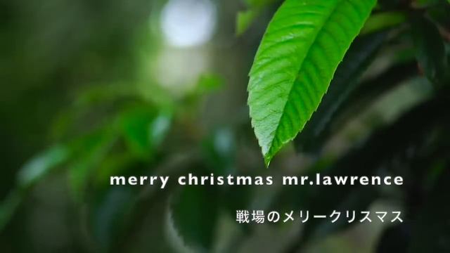 【坂本龍一】癒しの雨と坂本龍一ピアノメドレー【睡眠用,作業用BGM】Ryuichi Sakamoto relaxing piano collection смотреть онлайн