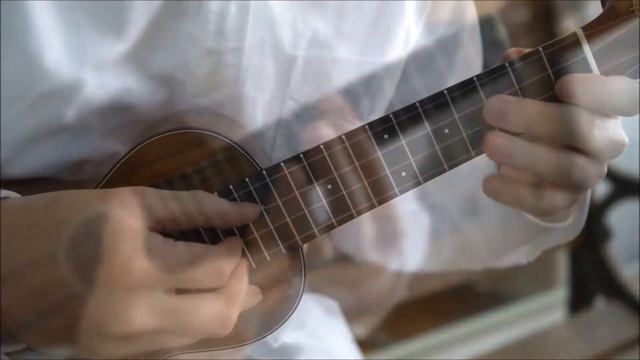 tkitki HK-S 5A/E Soprano/Black HawaiianKoa смотреть онлайн