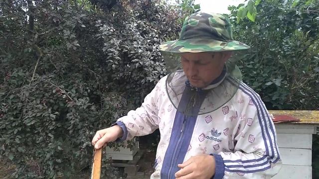 Получаем три сорта майского меда с северо-крымского улья.Малоформатки рулят. смотреть онлайн