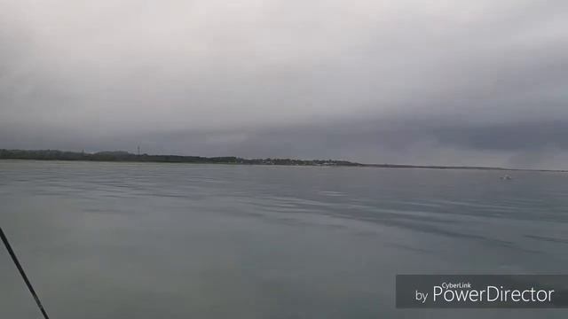 Donsol, Sorsogon 2 смотреть онлайн