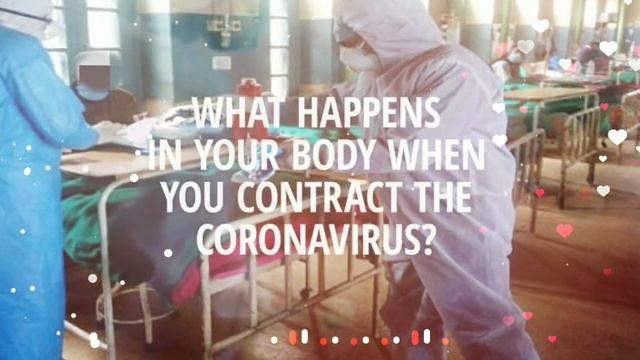 coronavirus doctor new song status Teri mitti mein mil Java new WhatsApp status video смотреть онлайн