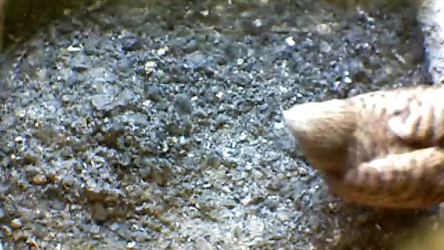 From Internet Camera(Turmfalken[03:1A:A5])2014/07/06,08:10:48_D смотреть онлайн