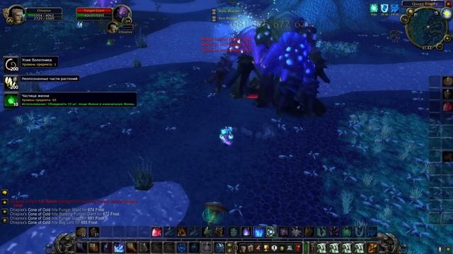 Маг. Особенности прокачки World of Warcraft: Burning Crusade Classic
