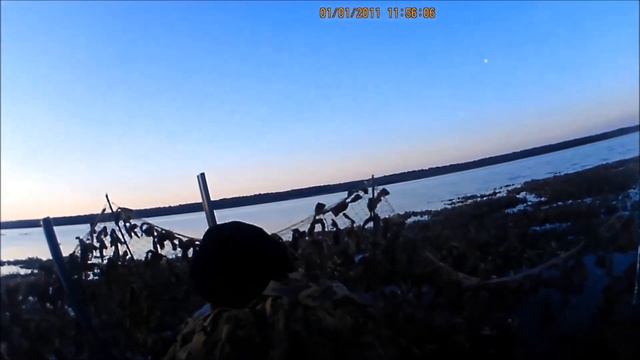 Охота на уток в Тюмени смотреть онлайн