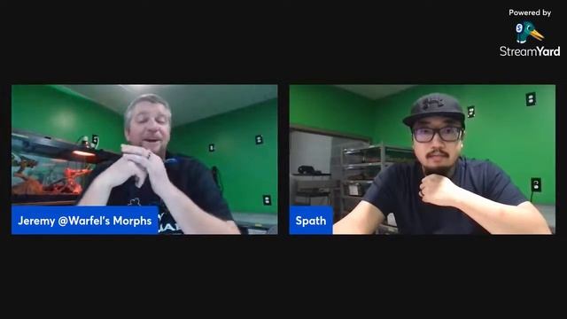 EP.1: How to grow your YouTube channel and Ball Python Hatchlings!! смотреть онлайн