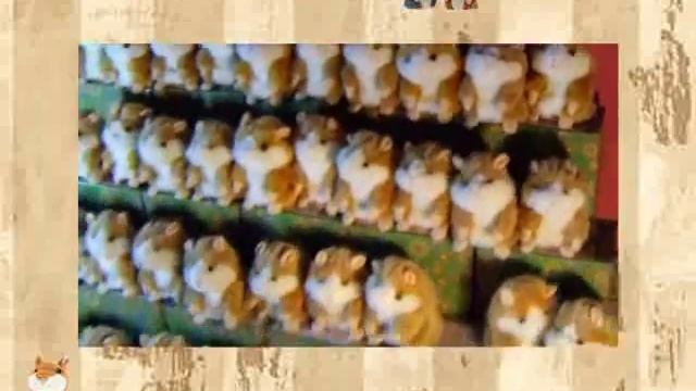 Это целый хор прикольных говорящих хомяков! смотреть онлайн