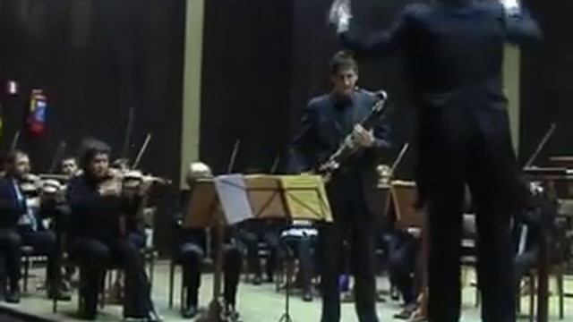 Mozart, Bassoon concerto in B-flat major, 1st. mov. - Allegro смотреть онлайн
