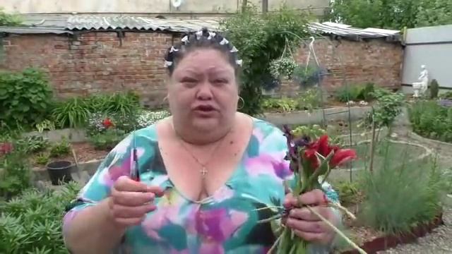 луковичные отцвели. что делаю смотреть онлайн