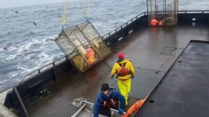 Будни ловцов камчатского краба