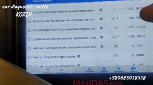 Ford богатая смесь, "заливает" бензином.