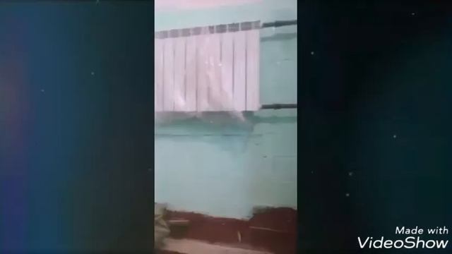 Капитальный ремонт дома 16 по улице Саратовская. Фирма "Гарант и К" смотреть онлайн