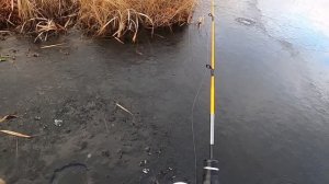 Ловля ротана. В поисках трофея. Зимняя рыбалка на ротана.