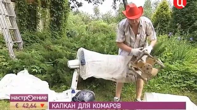 комариный капкан11 06) смотреть онлайн