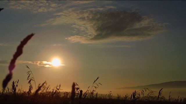 Стих | Жизнь — воспоминание. Ruslan Safin смотреть онлайн