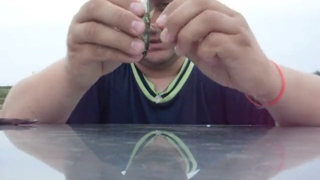 Оснастка на хищника уловистая. смотреть онлайн