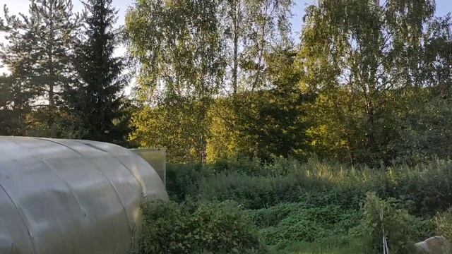 ГОТОВИМ УЖИН НА ДАЧЕ. И ОГУРЕЦ - ГИГАНТ.? смотреть онлайн