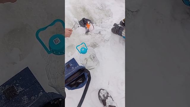 Ставим жерлицы на Оке 24.02.2023 смотреть онлайн