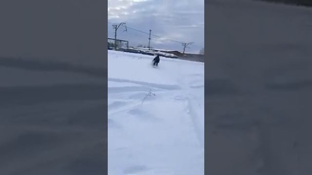 Катаемся в лесу, мотособака Рекс17# смотреть онлайн