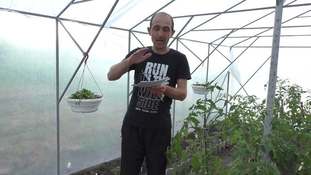 ТЕПЛИЦА СВОИМИ РУКАМИ 6*3.5 | В РАЗЫ ДЕШЕВЛЕ ПОКУПНЫХ смотреть онлайн