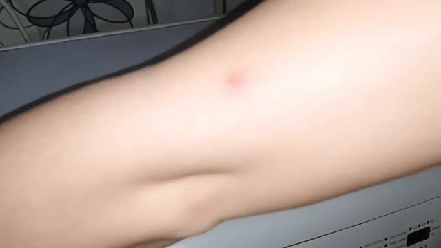 Таракандардан құтылудың ең оңай жолы.Ас Үй таракандарынан құтылу жолдары Как избавиться от таракано смотреть онлайн