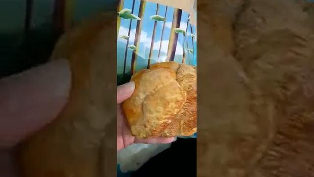 Bán Nấm Hầu Thủ Tươi Khô - Nấm Đầu Khỉ смотреть онлайн